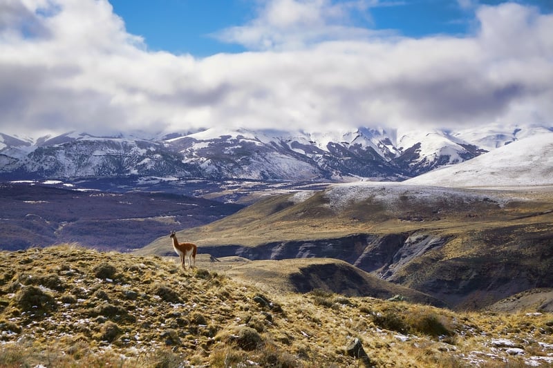 Patagonia, Argentina and Chile